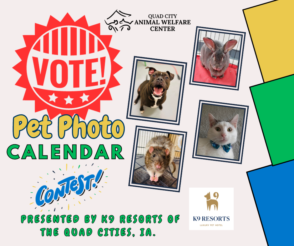 Vote pet photo calendar contest facebook post landscape